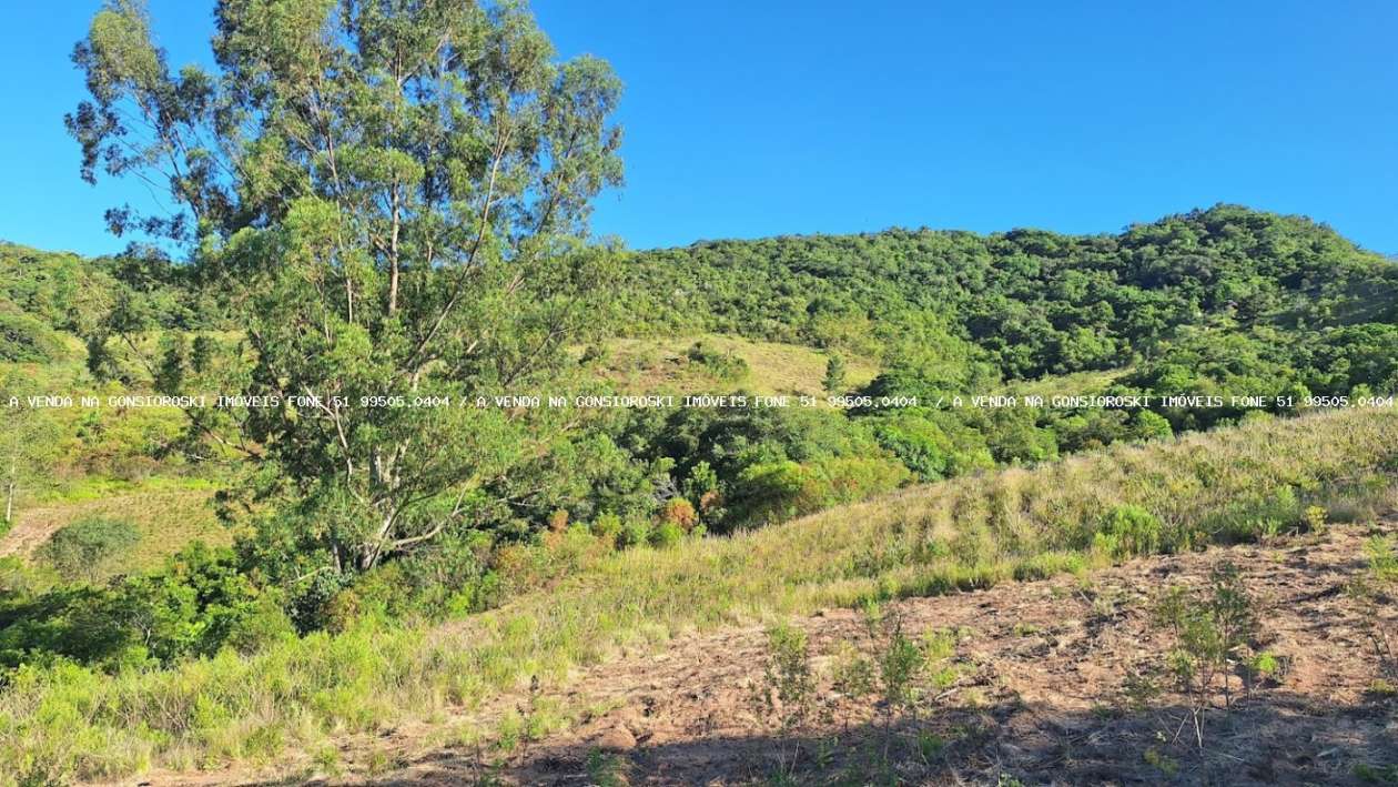 Fazenda-Sítio-Chácara, 7 m² - Foto 3