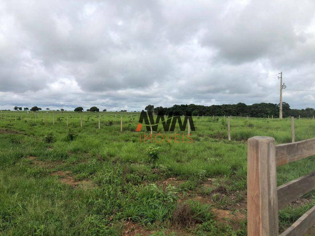 Fazenda à venda, 44286000M2 - Foto 18