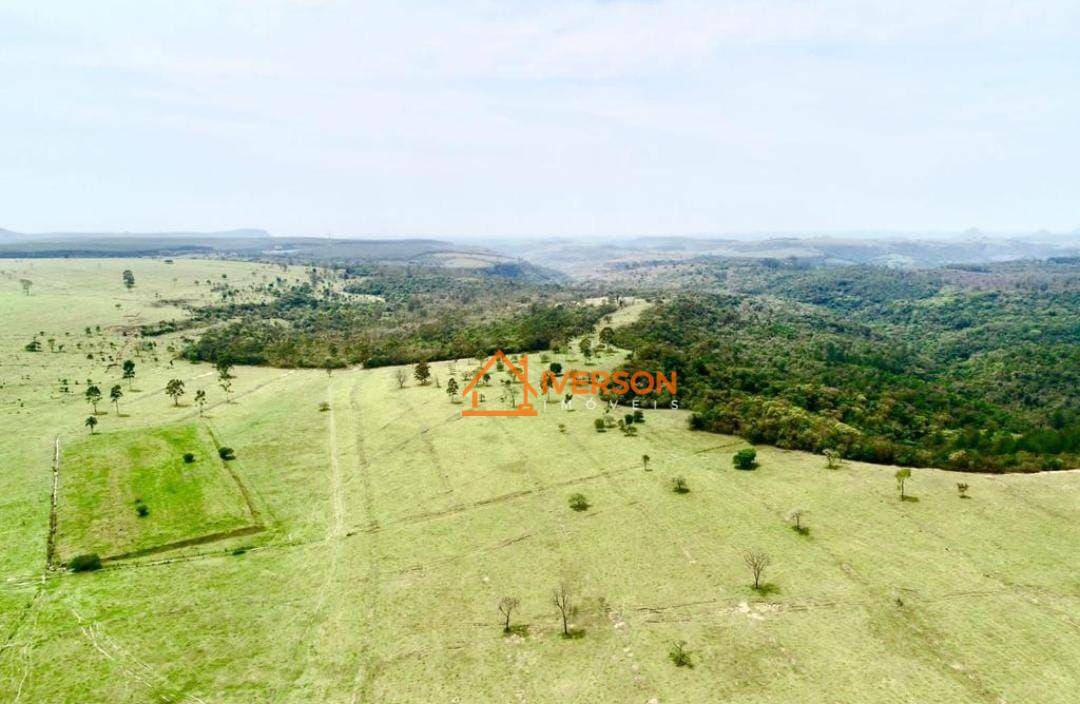 Fazenda à venda com 6 quartos, 1000m² - Foto 41