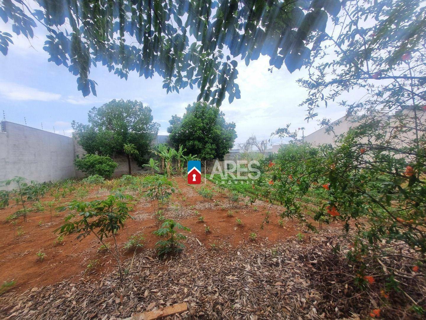 Terreno, 250 m² - Foto 2