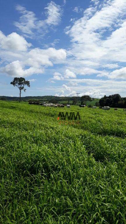 Fazenda à venda, 726000M2 - Foto 7