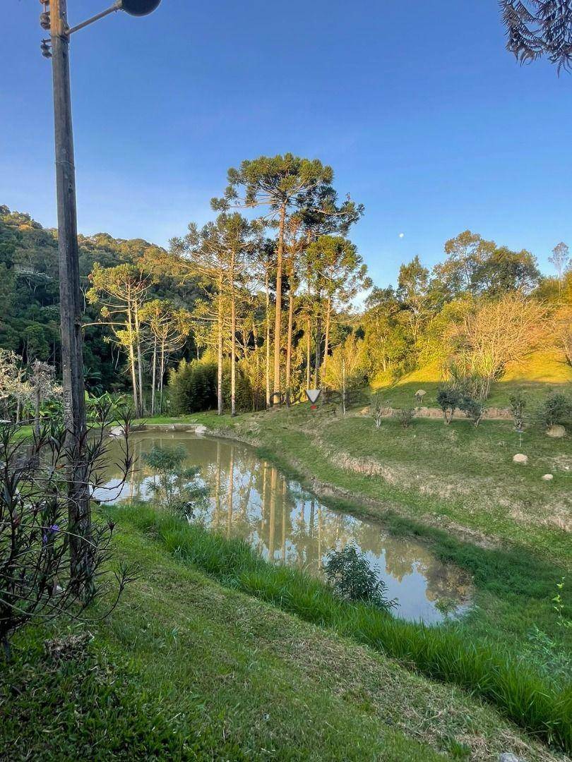Sítio à venda com 3 quartos, 14000M2 - Foto 8