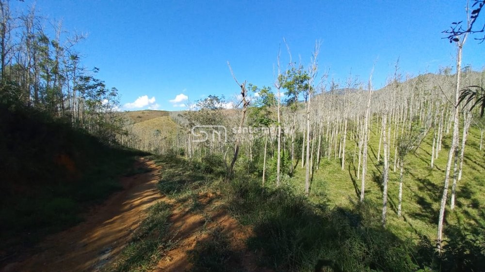 Fazenda à venda, 150m² - Foto 8