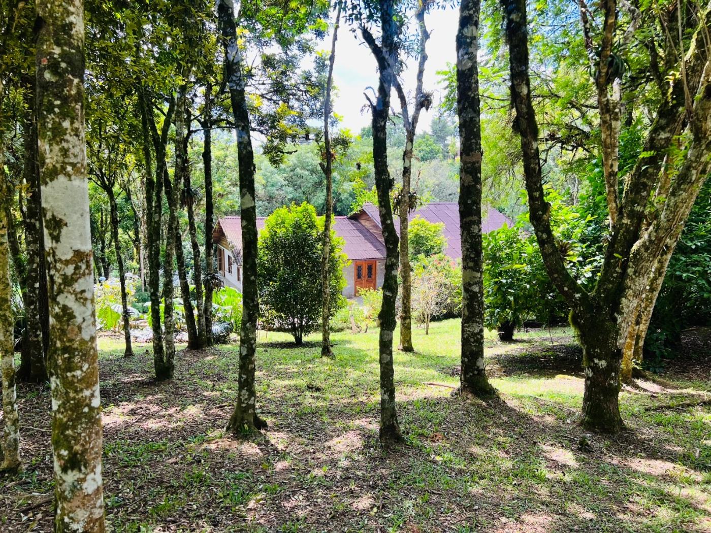 Fazenda à venda, 5050m² - Foto 32