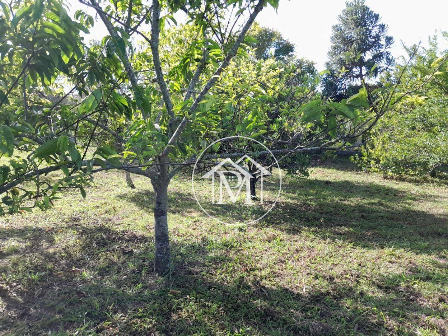 Chácara à venda com 1 quarto, 2800M2 - Foto 12