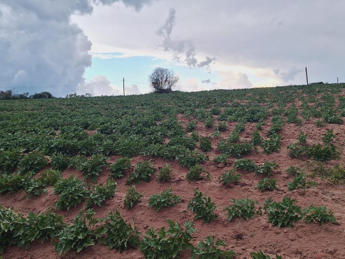 Loteamento e Condomínio à venda, 34000m² - Foto 6