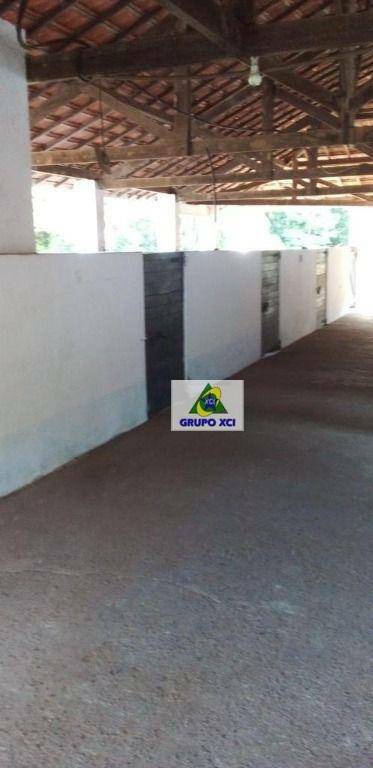 Fazenda-Sítio-Chácara, 30 hectares - Foto 59