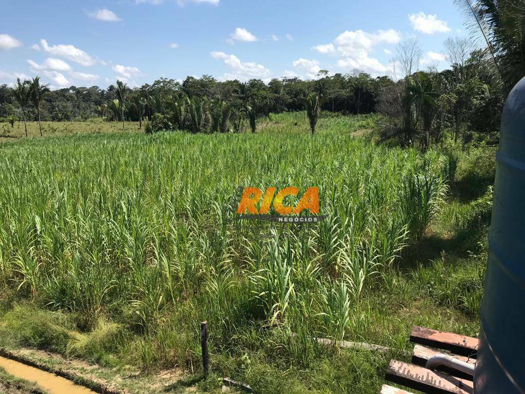 Fazenda à venda com 2 quartos, 1110000M2 - Foto 12