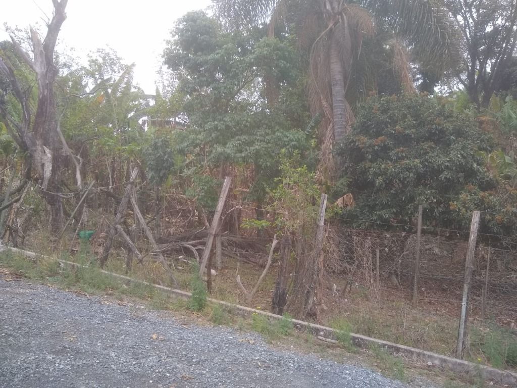 Terreno à venda, 1354M2 - Foto 7