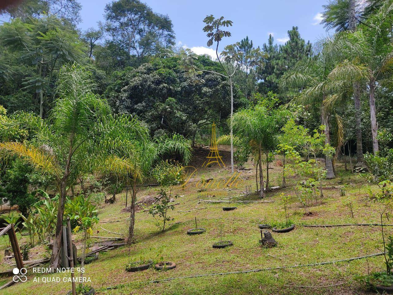 Chácara à venda com 2 quartos, 14M2 - Foto 4