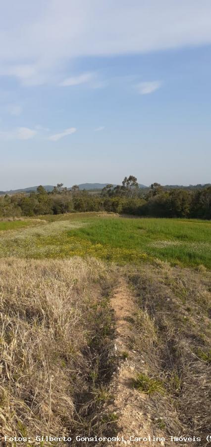 Loteamento e Condomínio à venda, 50000m² - Foto 17