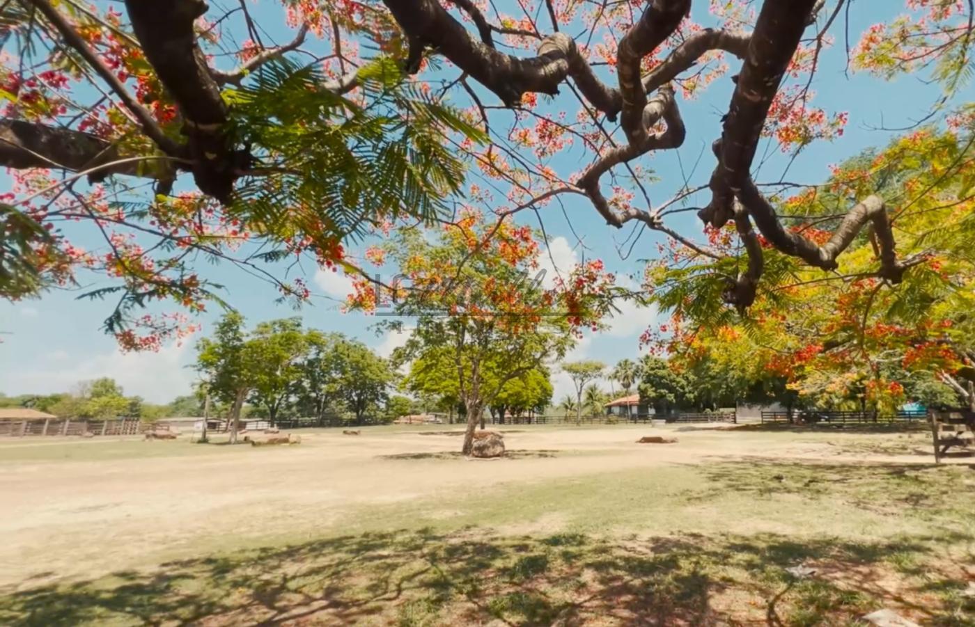 Fazenda à venda, 10000m² - Foto 28