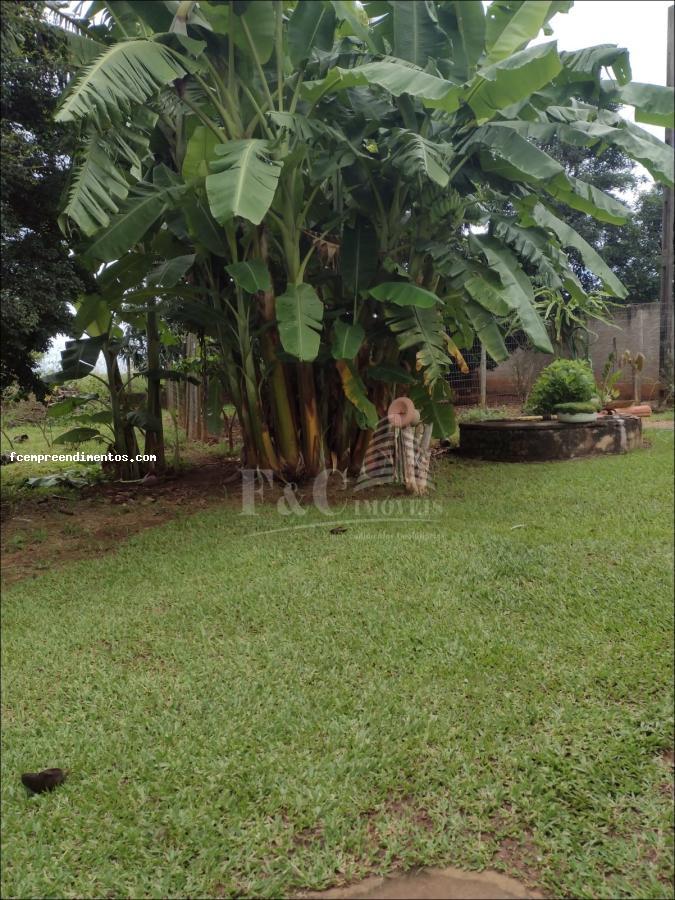 Fazenda à venda com 3 quartos, 1000m² - Foto 4