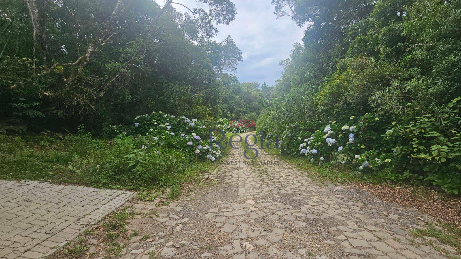 Loteamento e Condomínio à venda, 4210M2 - Foto 8