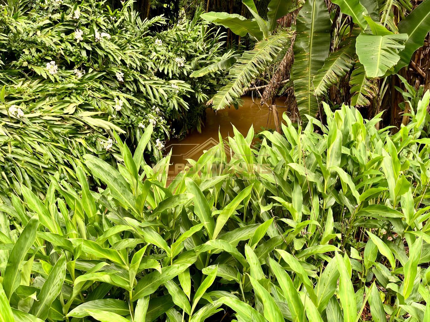 Chácara à venda com 6 quartos, 5000m² - Foto 9