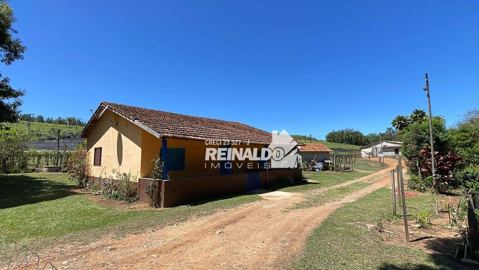 Sítio à venda com 3 quartos, 400m² - Foto 6