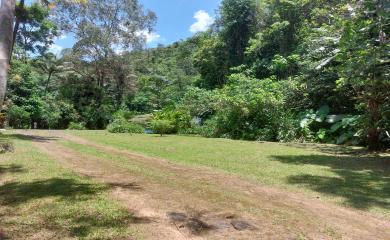 Sítio à venda com 3 quartos, 100000m² - Foto 25