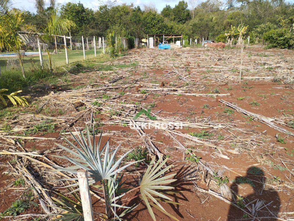 Chácara à venda, 1000M2 - Foto 1