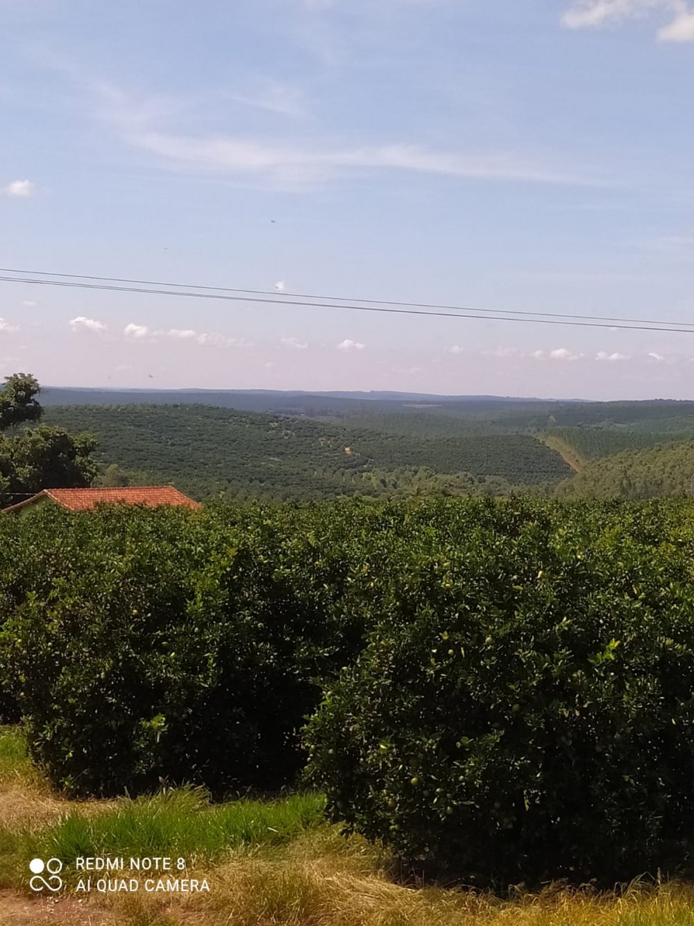 Fazenda à venda, 120m² - Foto 13