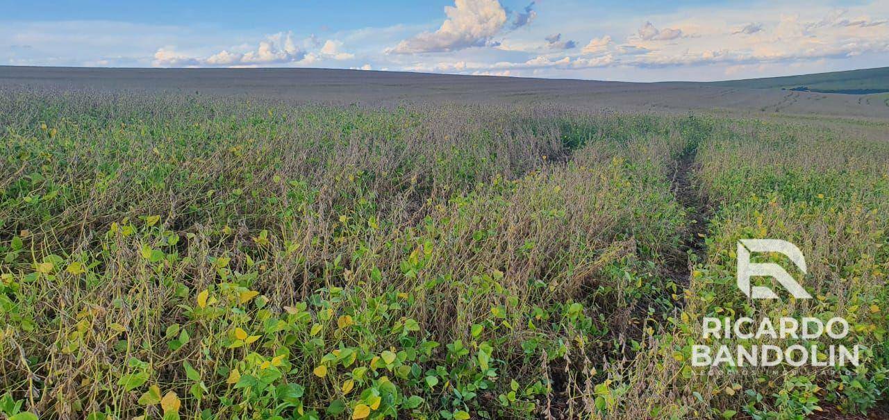 Fazenda à venda, 2057000M2 - Foto 4