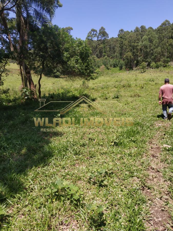 Fazenda à venda, 41000m² - Foto 8