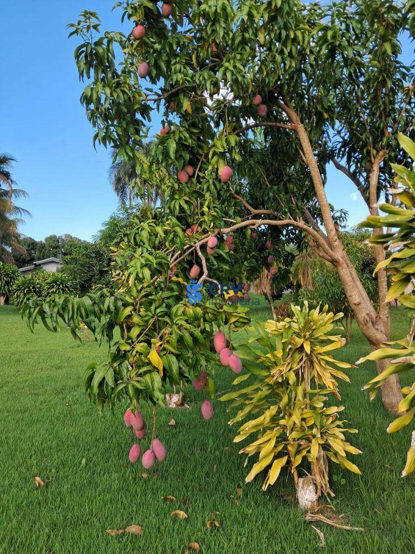 Chácara à venda com 6 quartos, 700m² - Foto 14