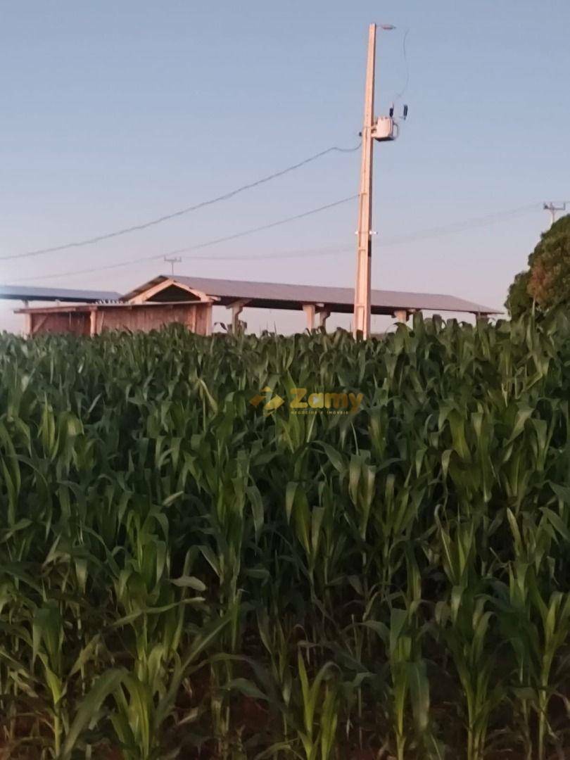 Chácara à venda com 2 quartos, 30000M2 - Foto 4