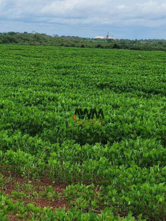 Fazenda à venda, 5130400M2 - Foto 8