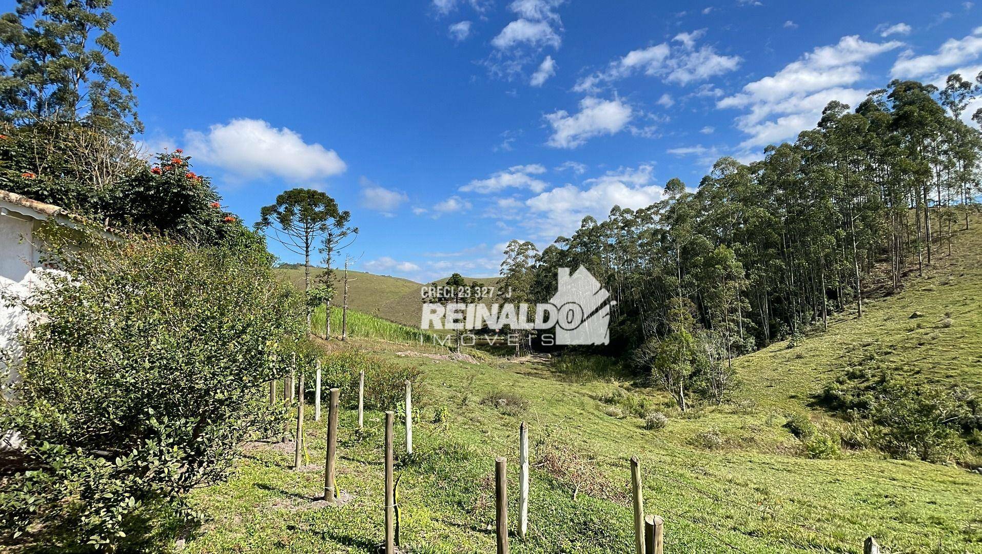 Fazenda à venda com 8 quartos, 900m² - Foto 71