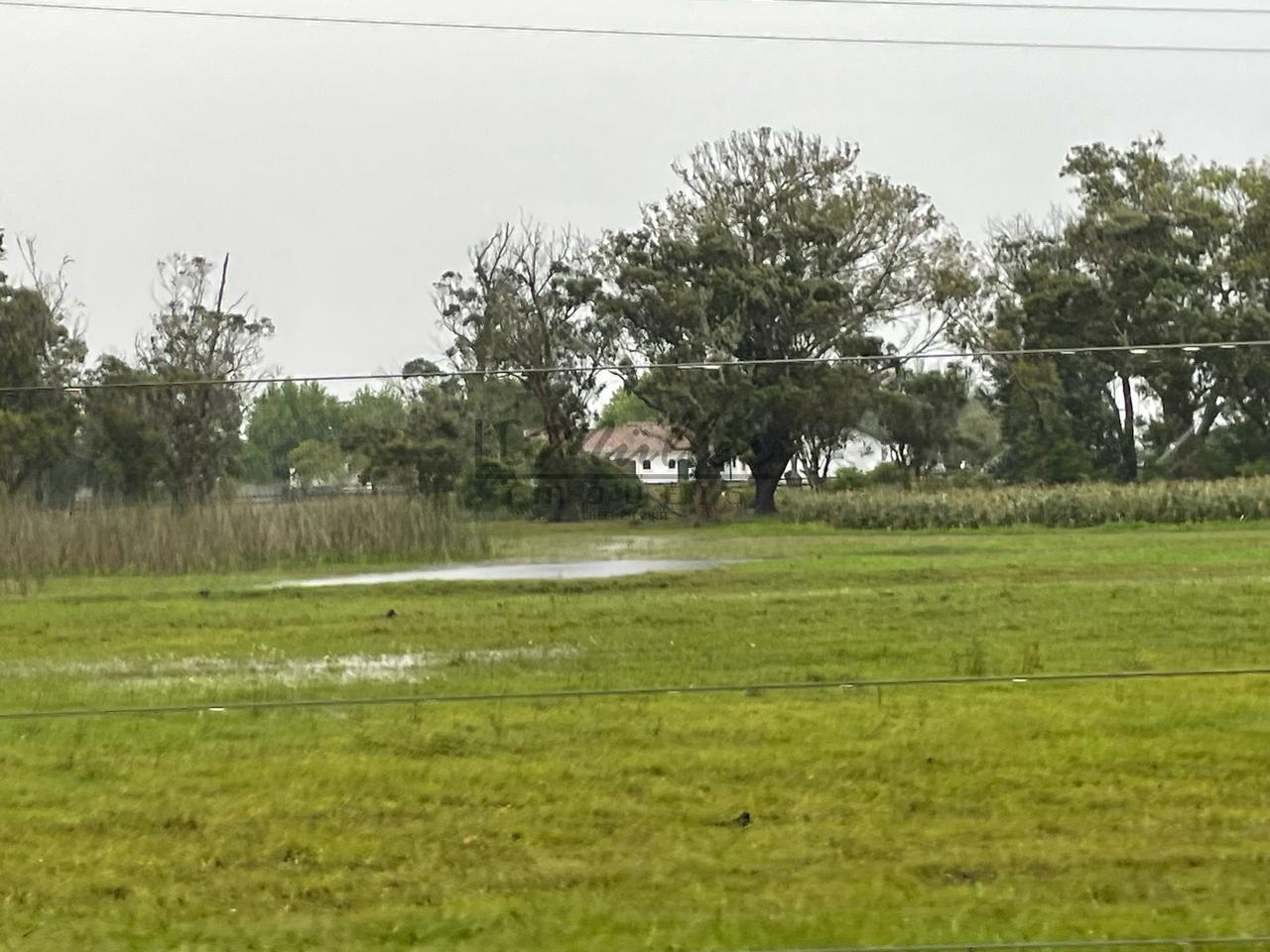 Fazenda à venda, 2300m² - Foto 16