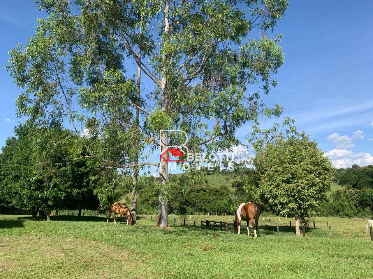 Fazenda à venda com 2 quartos, 31460M2 - Foto 9