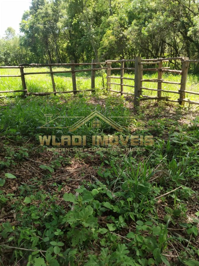 Fazenda à venda, 41000m² - Foto 3