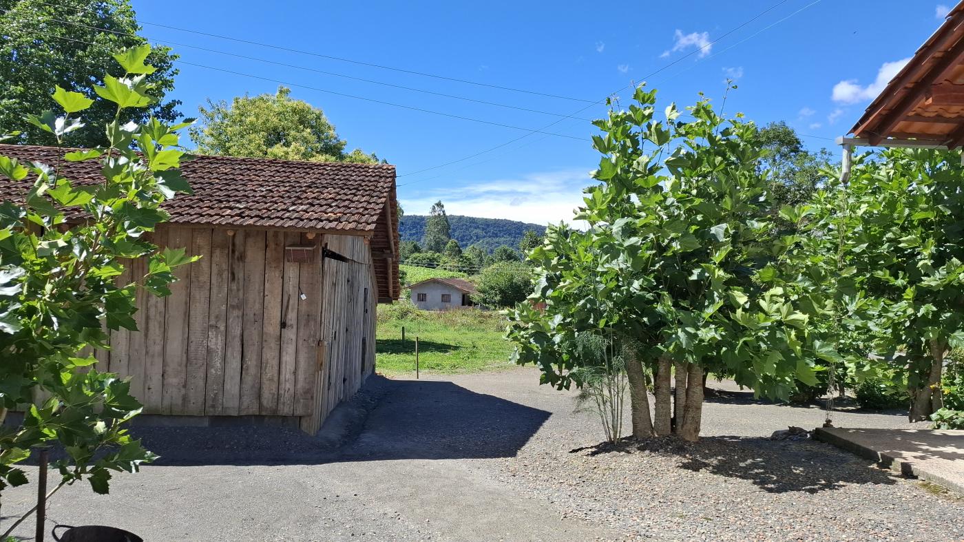 Fazenda à venda com 3 quartos, 20000m² - Foto 23