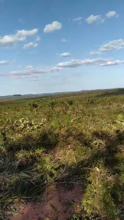 Fazenda à venda com 1 quarto, 17800000M2 - Foto 13