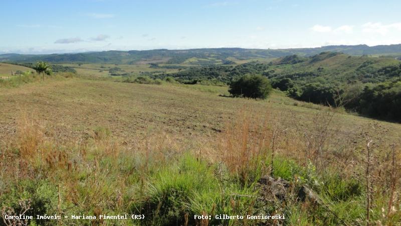Sítio à venda com 2 quartos, 60000m² - Foto 15