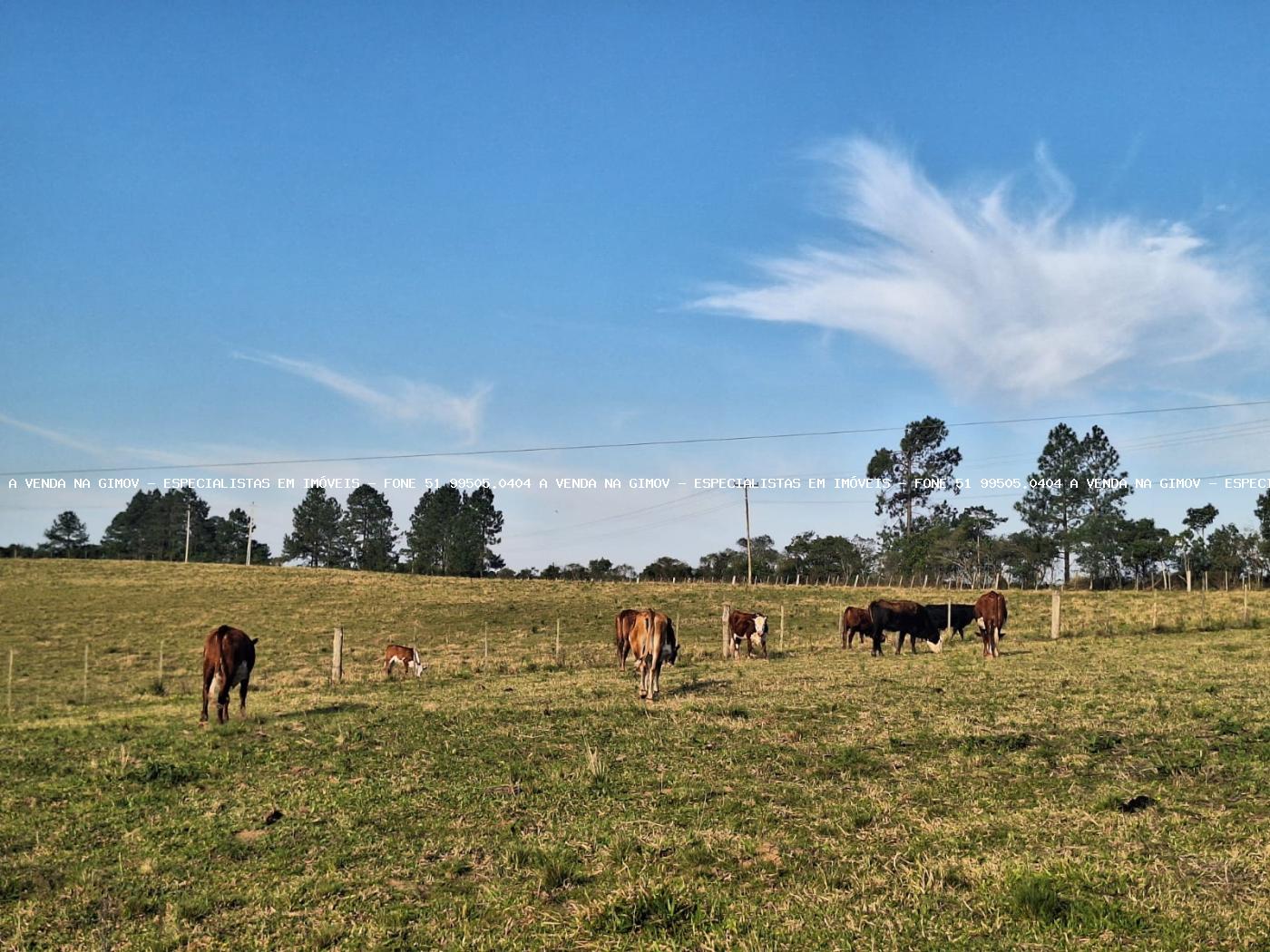 Fazenda à venda com 4 quartos, 80000m² - Foto 46