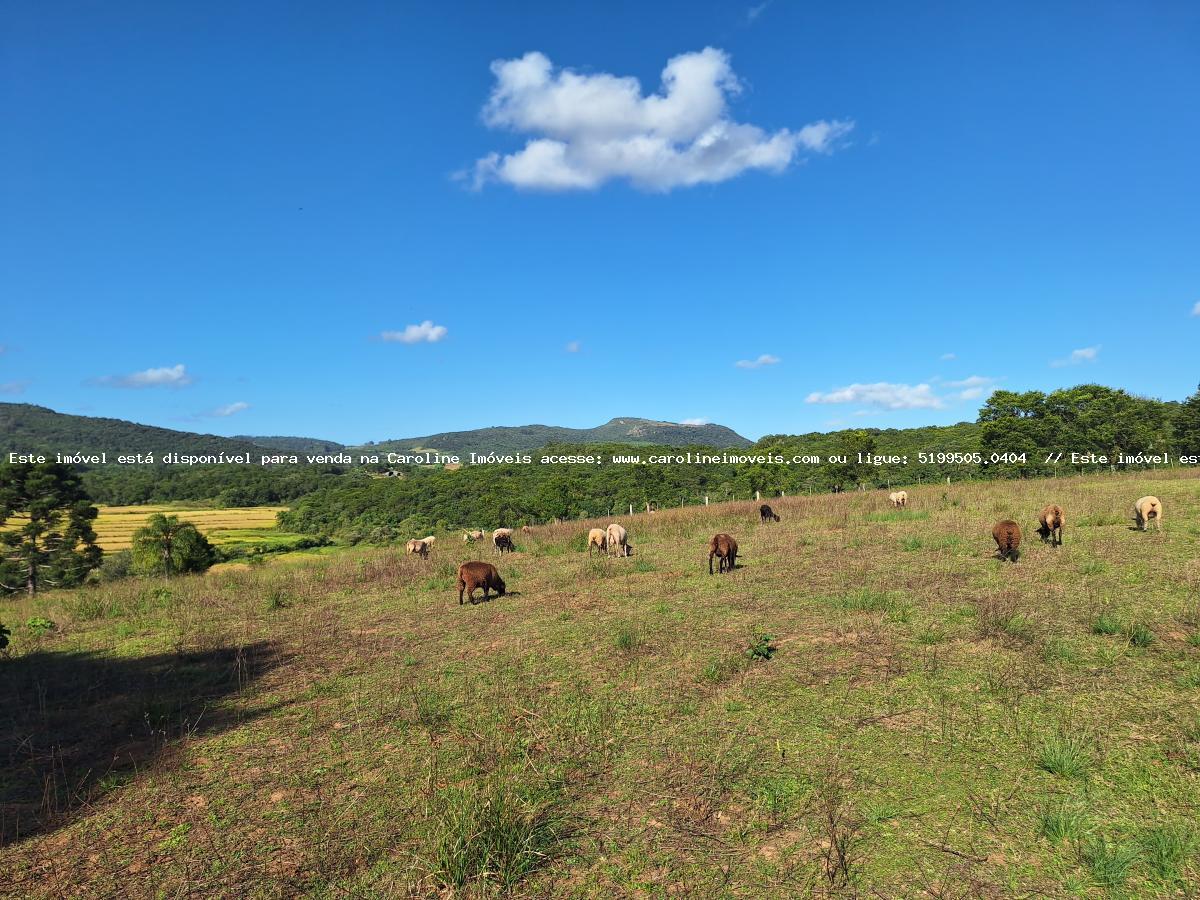 Loteamento e Condomínio à venda, 26000m² - Foto 10