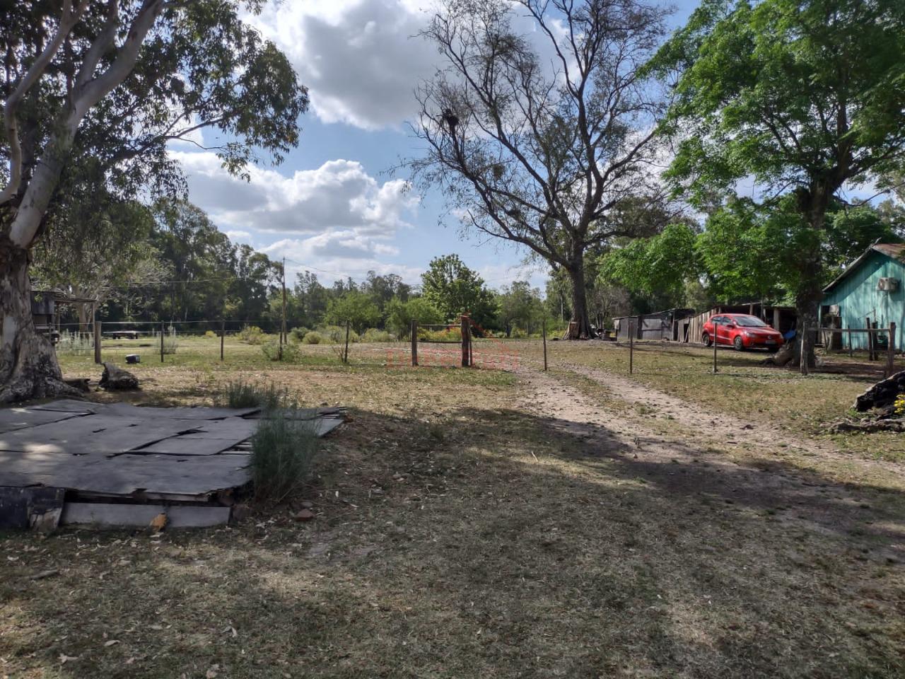 Fazenda-Sítio-Chácara - Foto 3