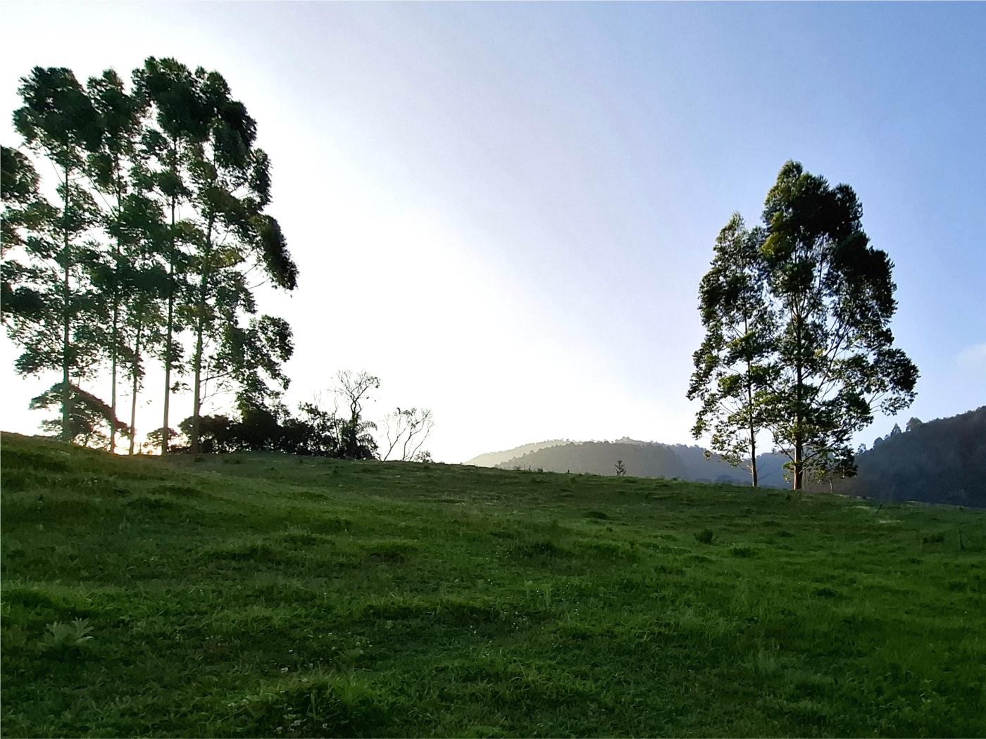 Fazenda à venda com 3 quartos, 90000m² - Foto 47