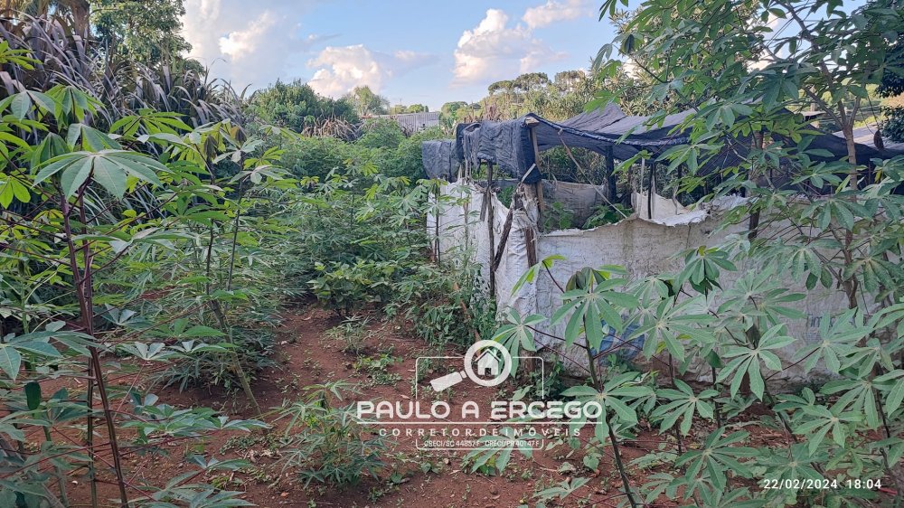 Casa, 2 quartos, 719 m² - Foto 17