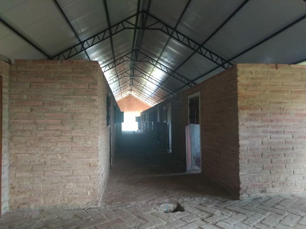Sítio à venda com 1 quarto, 6000m² - Foto 6