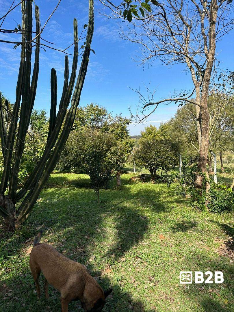 Sítio à venda com 6 quartos, 600m² - Foto 18