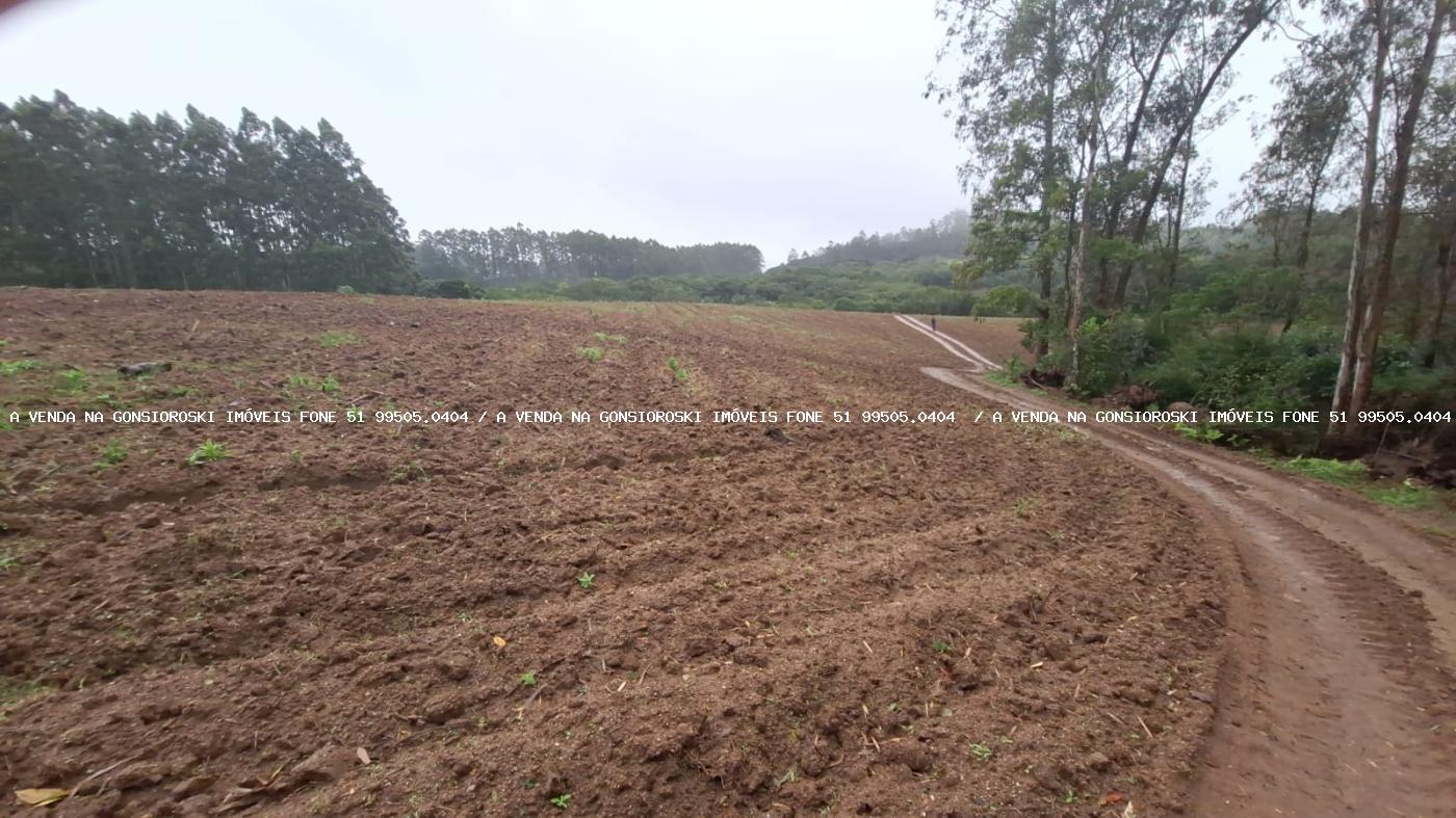 Sítio à venda com 2 quartos, 141000m² - Foto 16