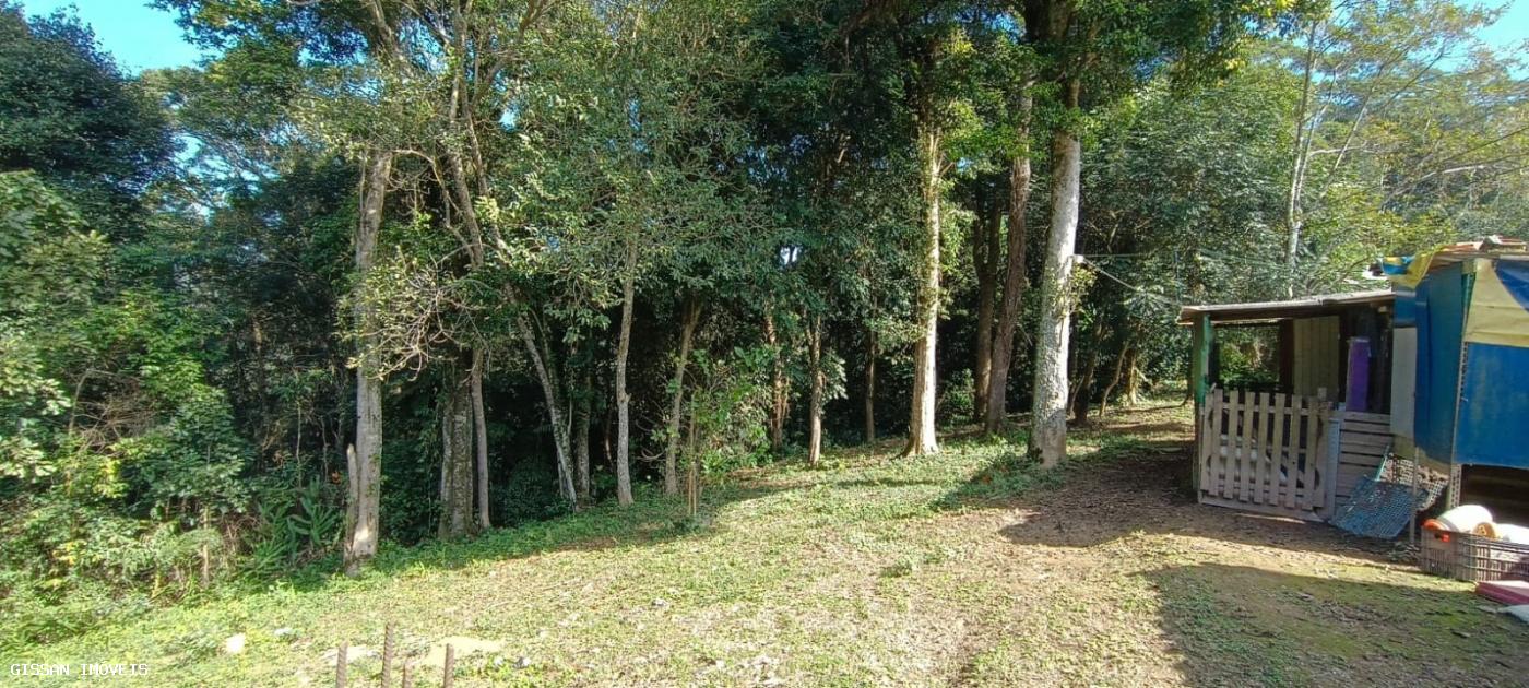 Fazenda à venda com 2 quartos, 4000m² - Foto 5