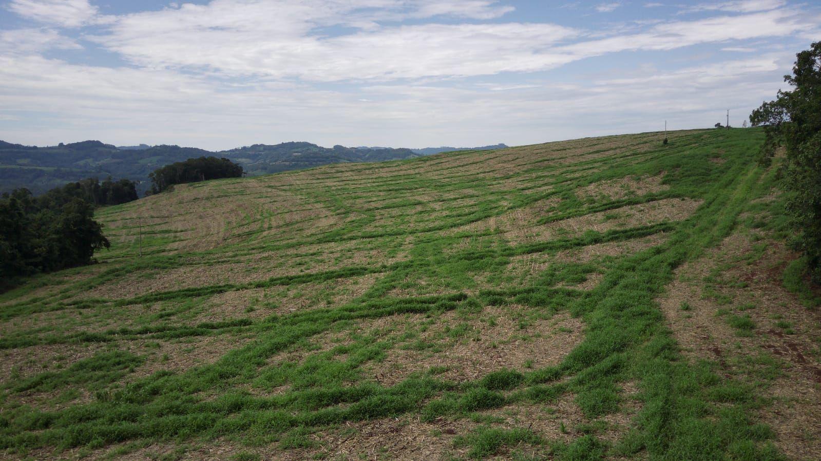 Loteamento e Condomínio à venda, 60000m² - Foto 2