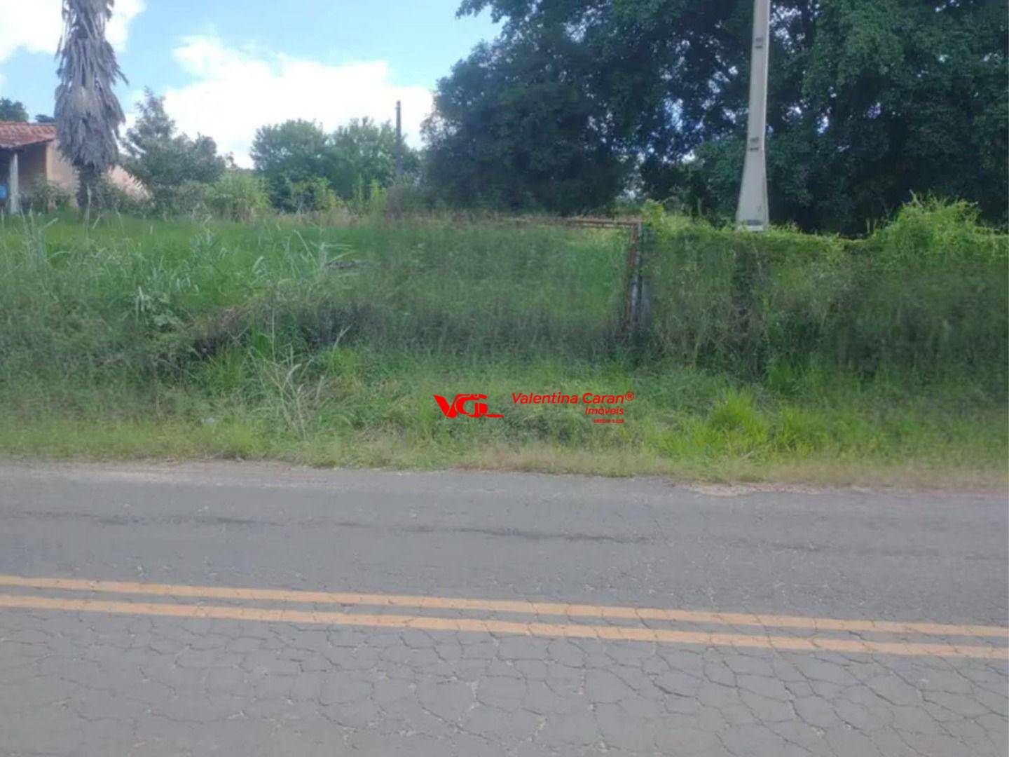 Terreno, 2 hectares - Foto 4