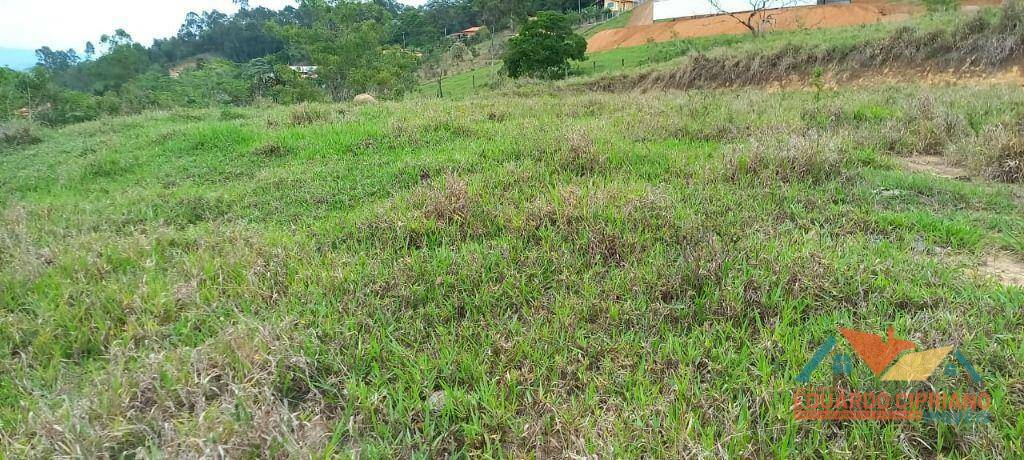 Terreno à venda, 31000M2 - Foto 6