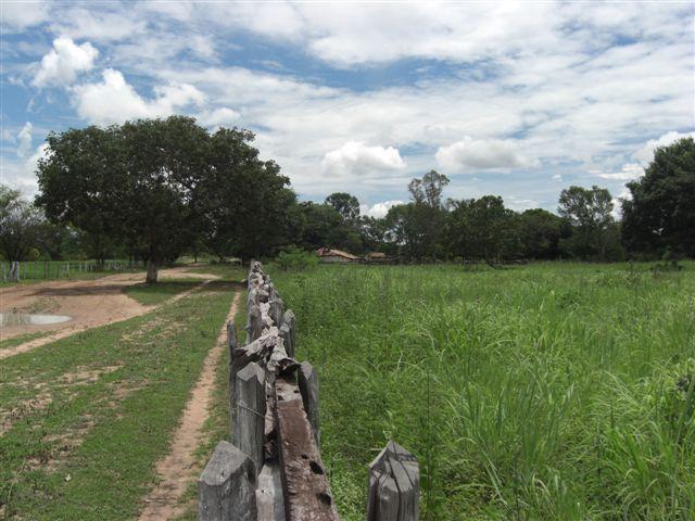 Chácara à venda - Foto 5