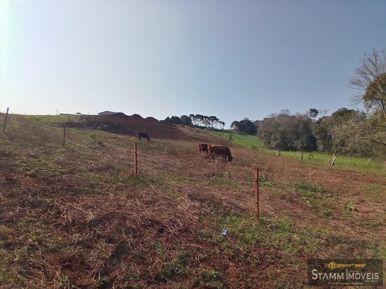 Fazenda à venda com 4 quartos, 3m² - Foto 32