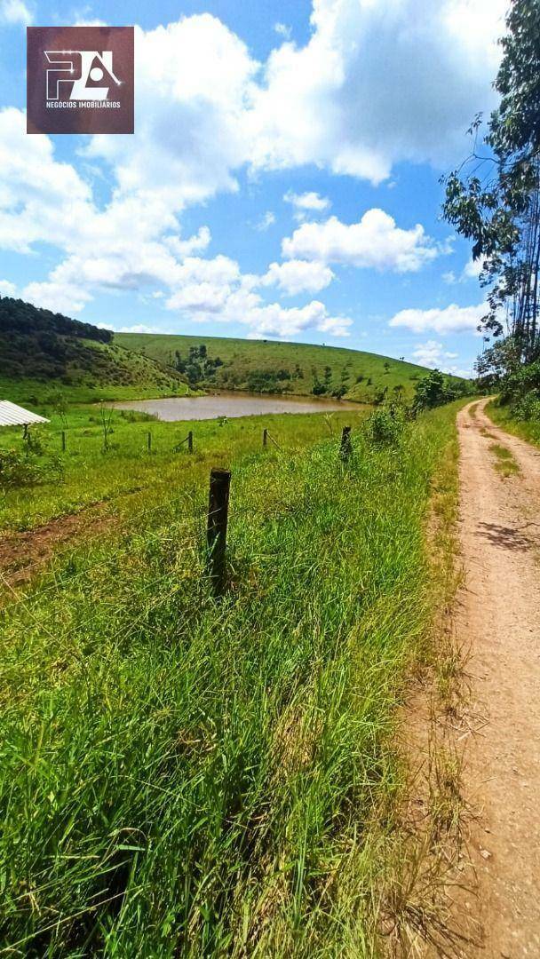 Fazenda à venda com 4 quartos, 1452000M2 - Foto 25